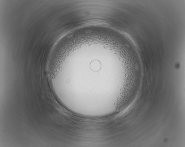 X0000116841065201001291700