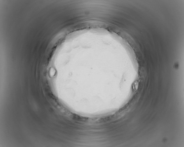 X0000116841067201001291700