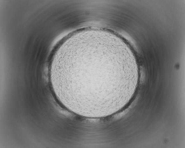 X0000116841070201001291700