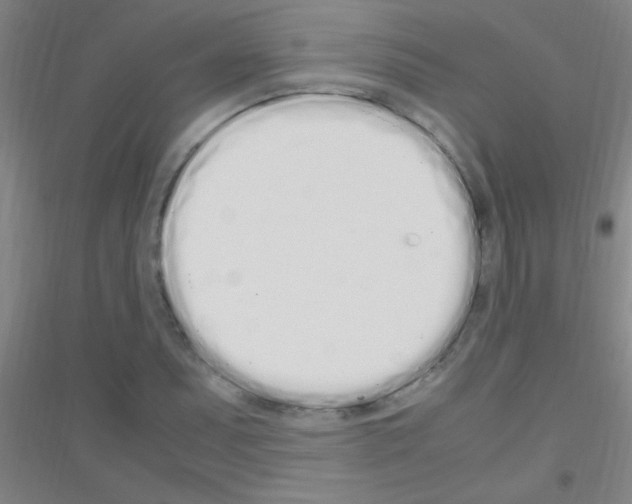 X0000116841071201001291700