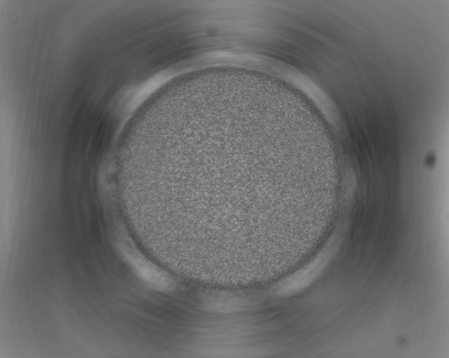 X0000116841074201001291700