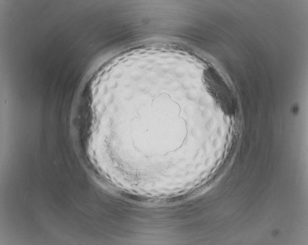 X0000116841075201001291659