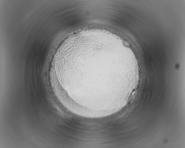 X0000116841076201001291659