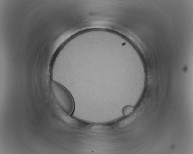 X0000116841077201001291659