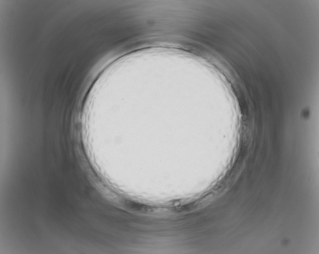 X0000116841079201001291659