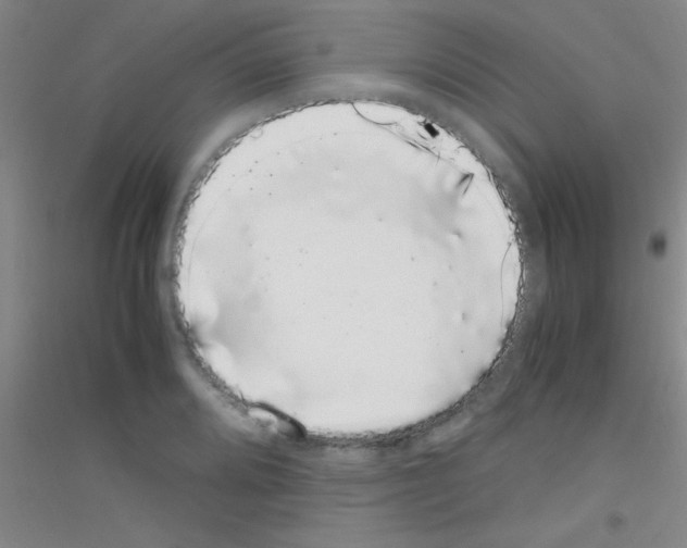 X0000116841080201001291659
