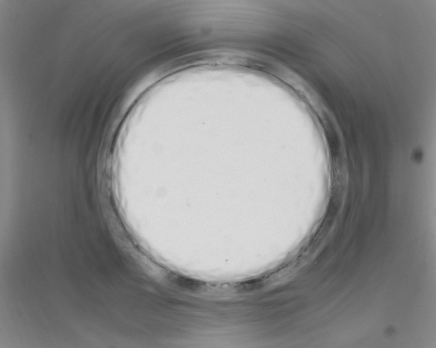 X0000116841083201001291659