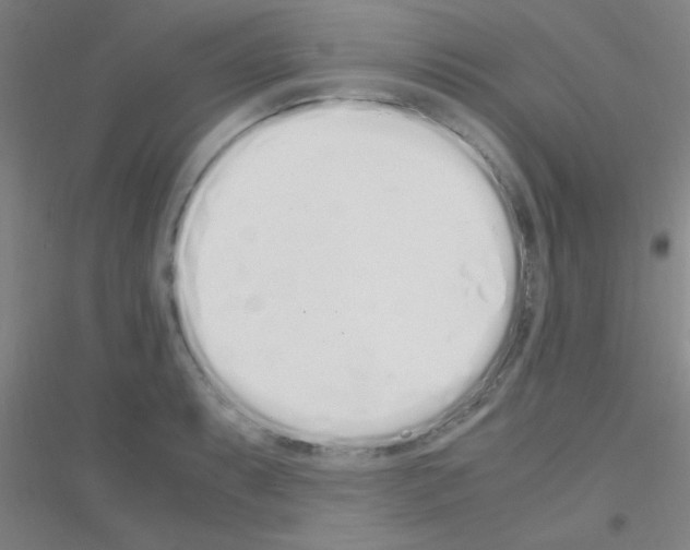 X0000116841087201001291659