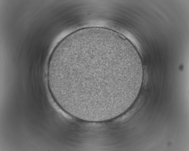 X0000116841088201001291659