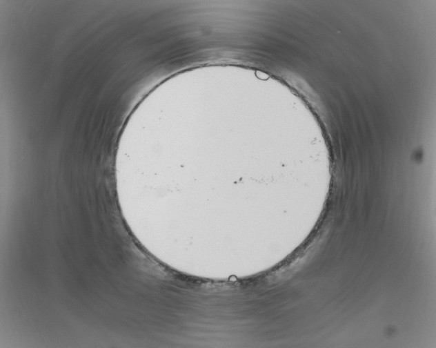 X0000116841089201001291659
