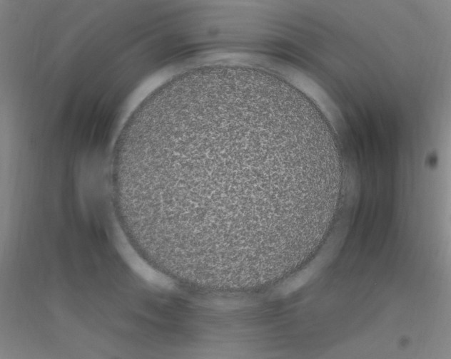 X0000116841090201001291659