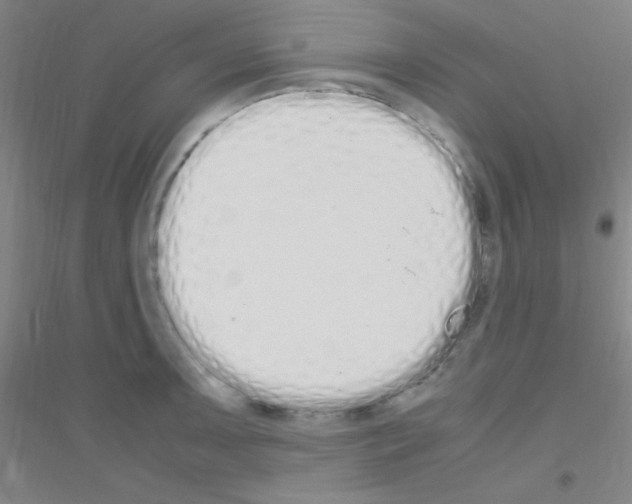 X0000116841091201001291659