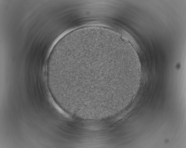 X0000116841092201001291659