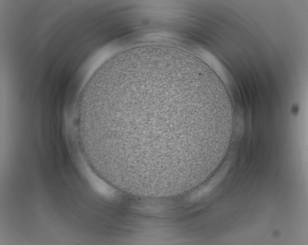 X0000116841098201001291659