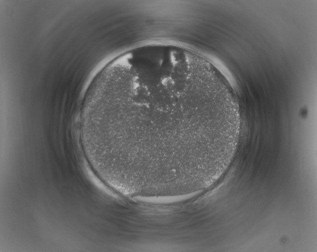 X0000116841100201001291659