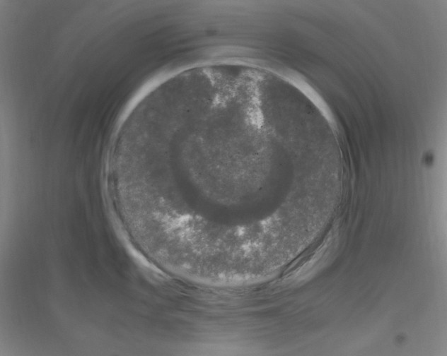 X0000116841101201001291659