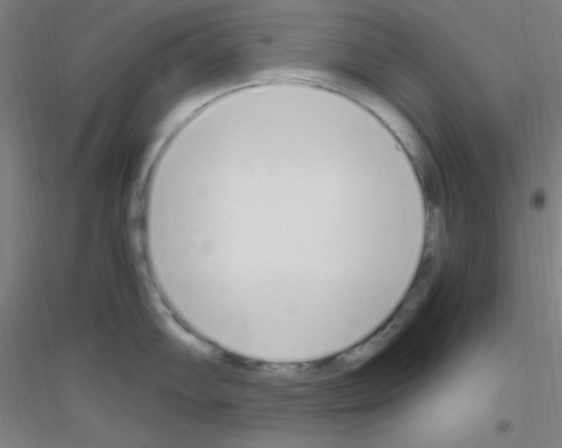 X0000116841102201001291659