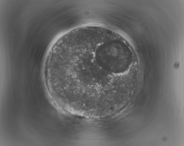 X0000116841104201001291659
