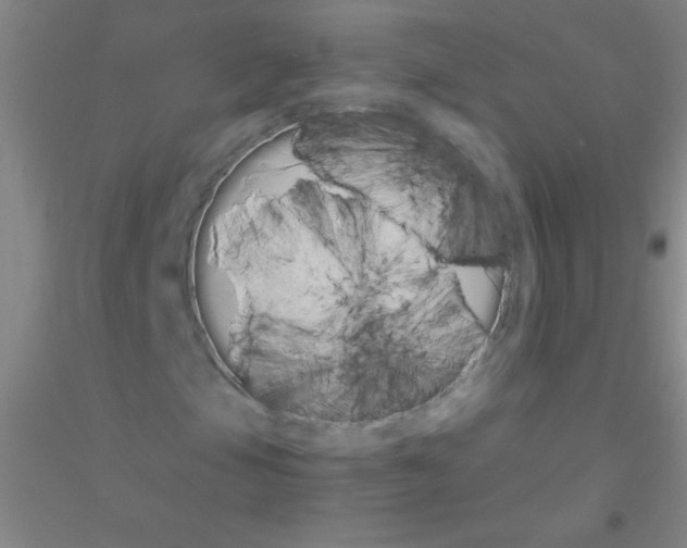 X0000116841105201001291658