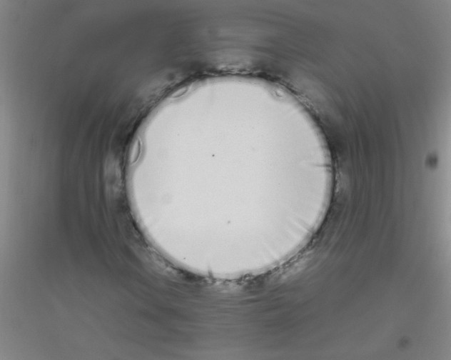 X0000116841106201001291658