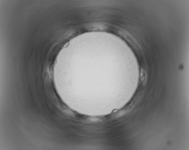 X0000116841107201001291658