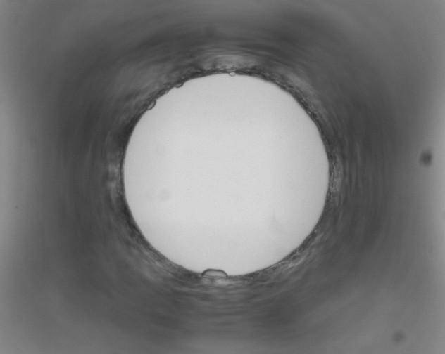 X0000116841109201001291658