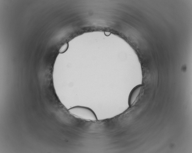X0000116841110201001291659