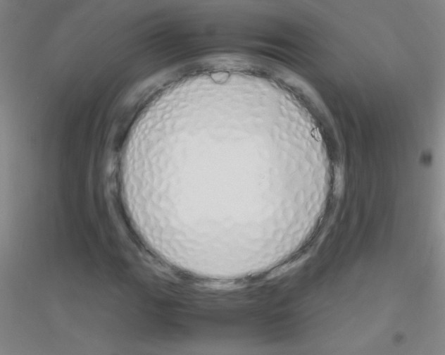 X0000116841111201001291659