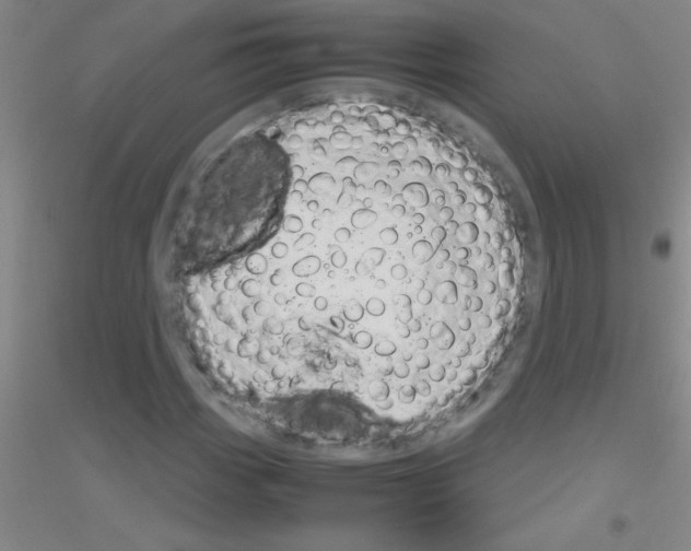 X0000116841113201001291659