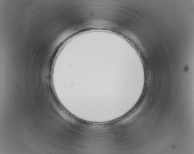 X0000116841114201001291659