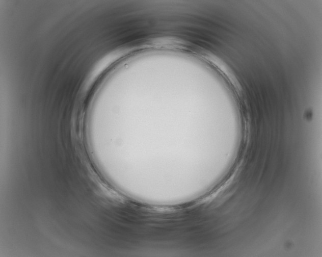 X0000116841115201001291659
