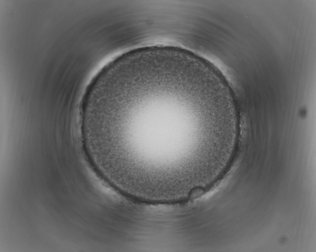 X0000116841118201001291659