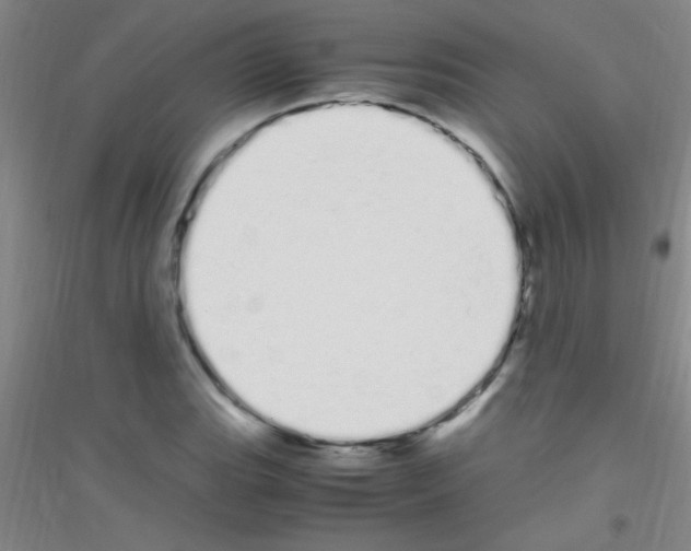 X0000116841119201001291659