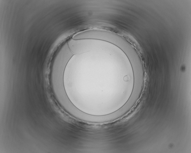X0000116841122201001291659