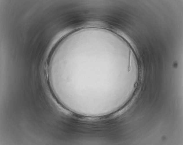 X0000116841123201001291659