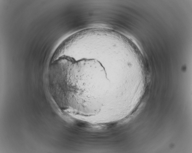 X0000116841125201001291659