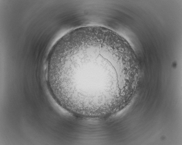 X0000116841126201001291659