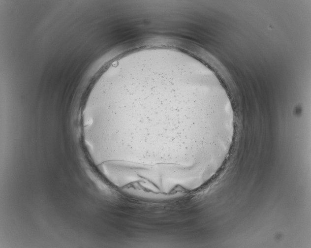 X0000116841127201001291659