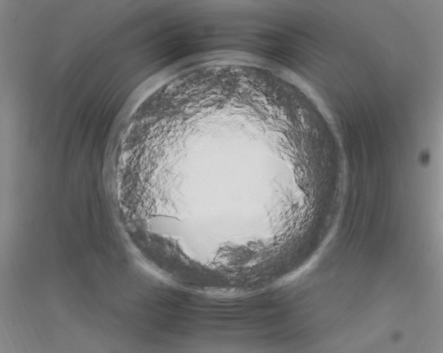 X0000116841129201001291659