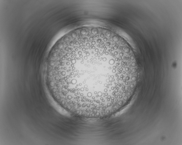 X0000116841130201001291659