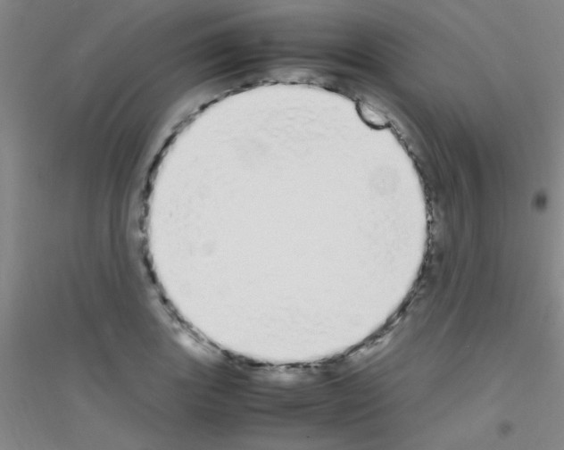X0000116841131201001291659