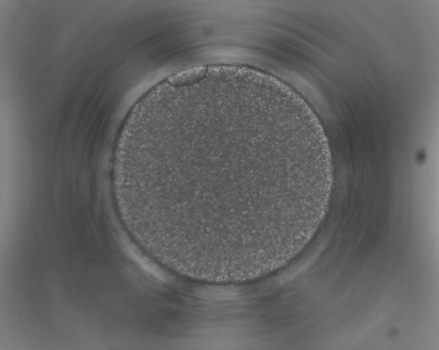 X0000116841134201001291659