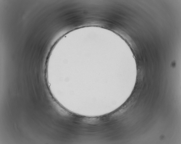 X0000116841135201001291659