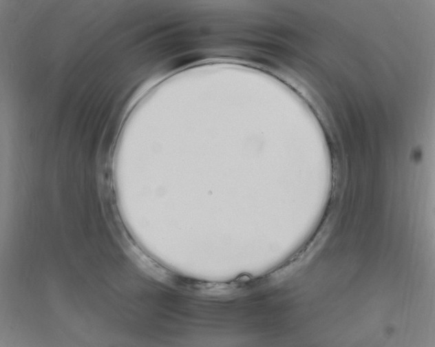 X0000116841137201001291659
