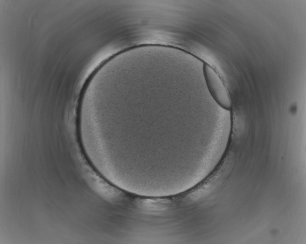 X0000116841138201001291659