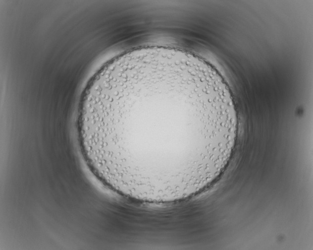 X0000116841139201001291659
