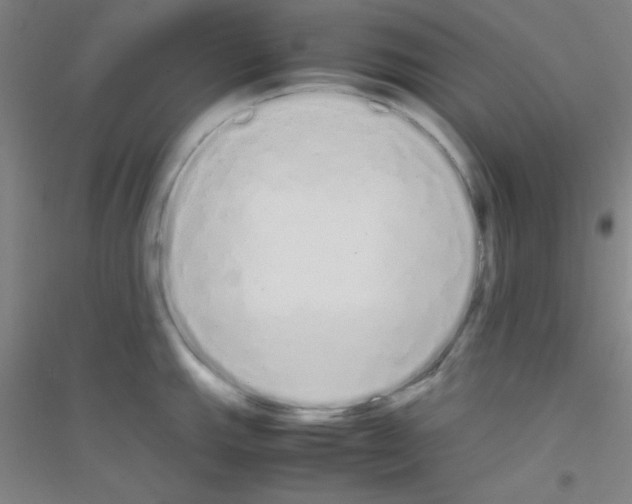 X0000116841143201001291659