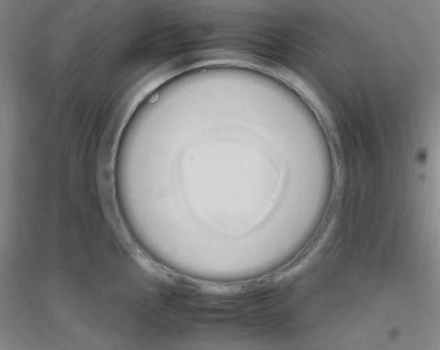 X0000116841145201001291659
