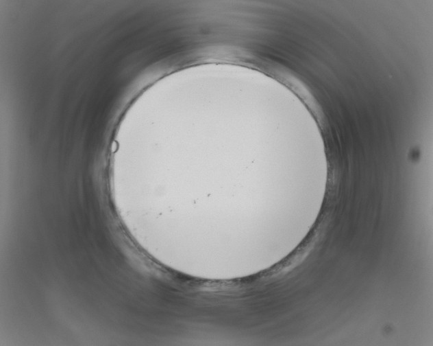 X0000116841146201001291659