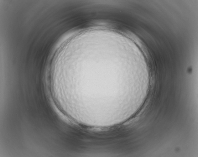 X0000116841147201001291659